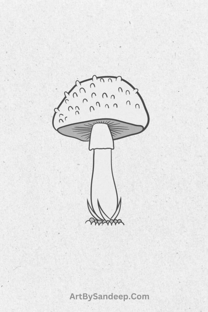 Frog Mushroom Drawing