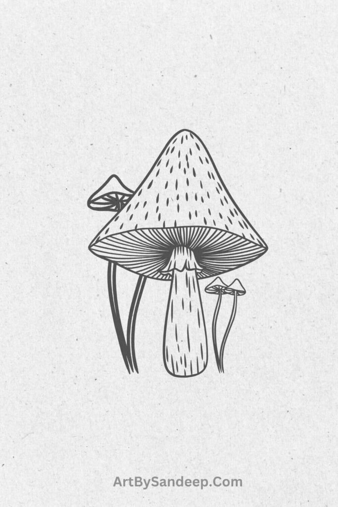 Cartoon Mushroom Drawing