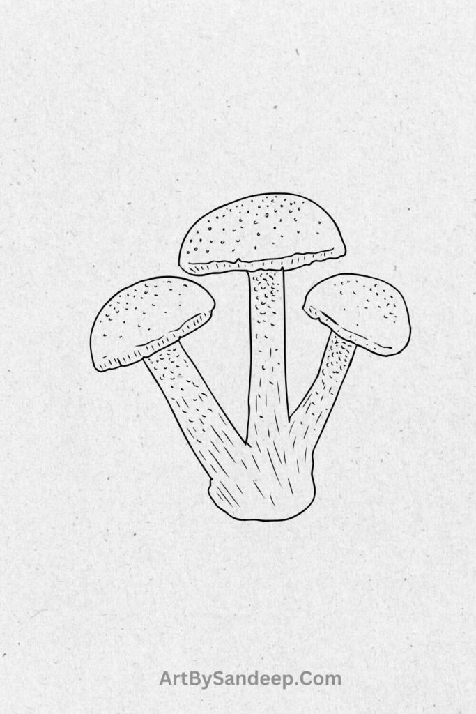 easy Mushroom Drawing