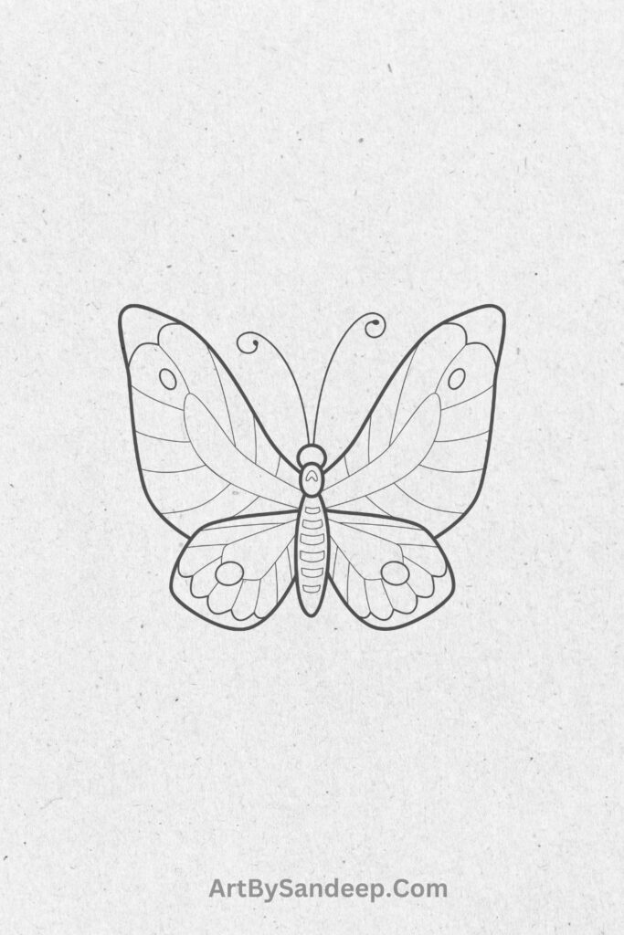 butterfly pattern drawing