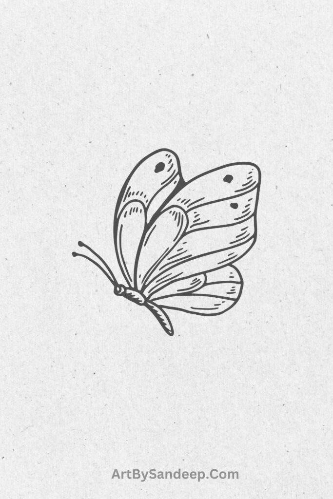 butterfly drawing small