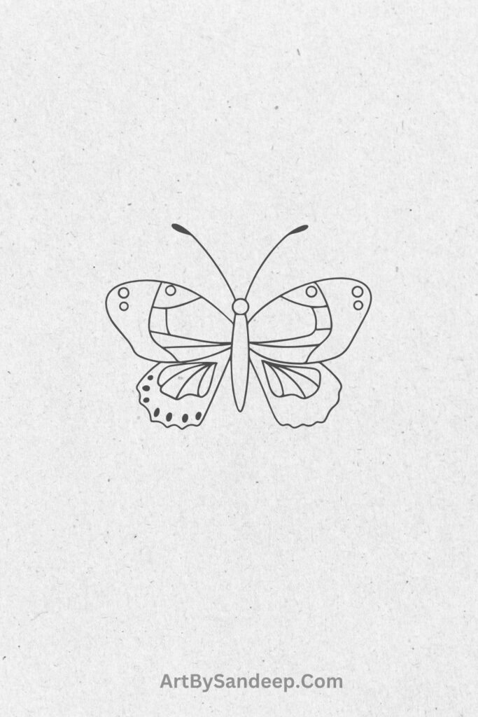 butterfly realistic drawing