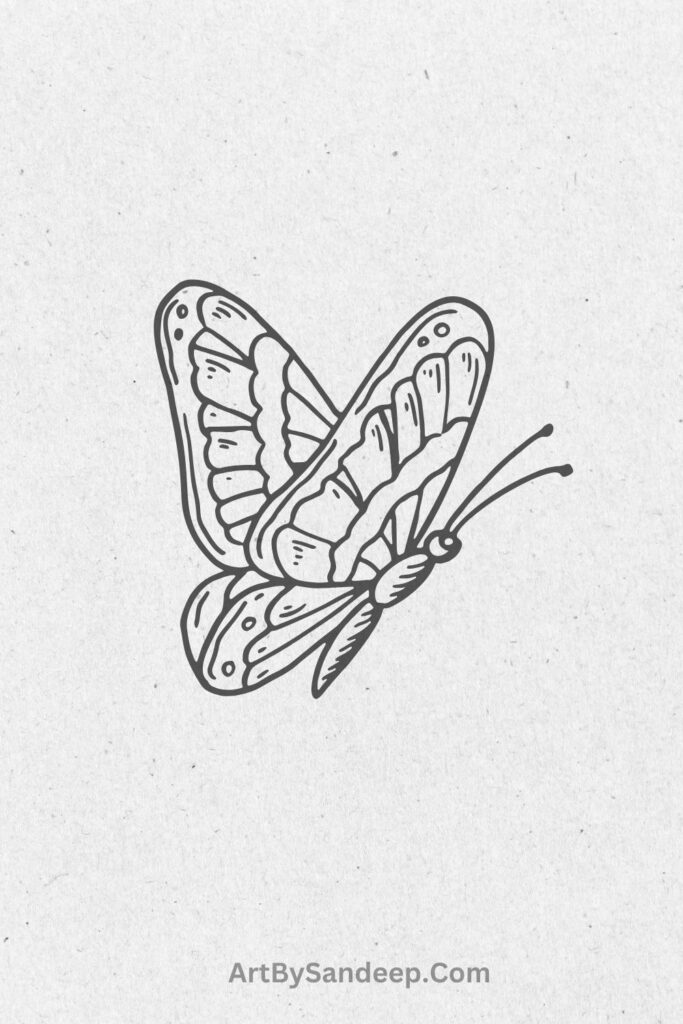 butterfly drawing ideas for expert