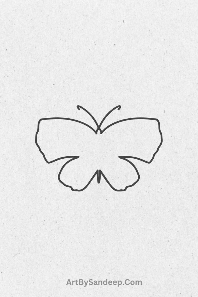 butterfly drawing realistic