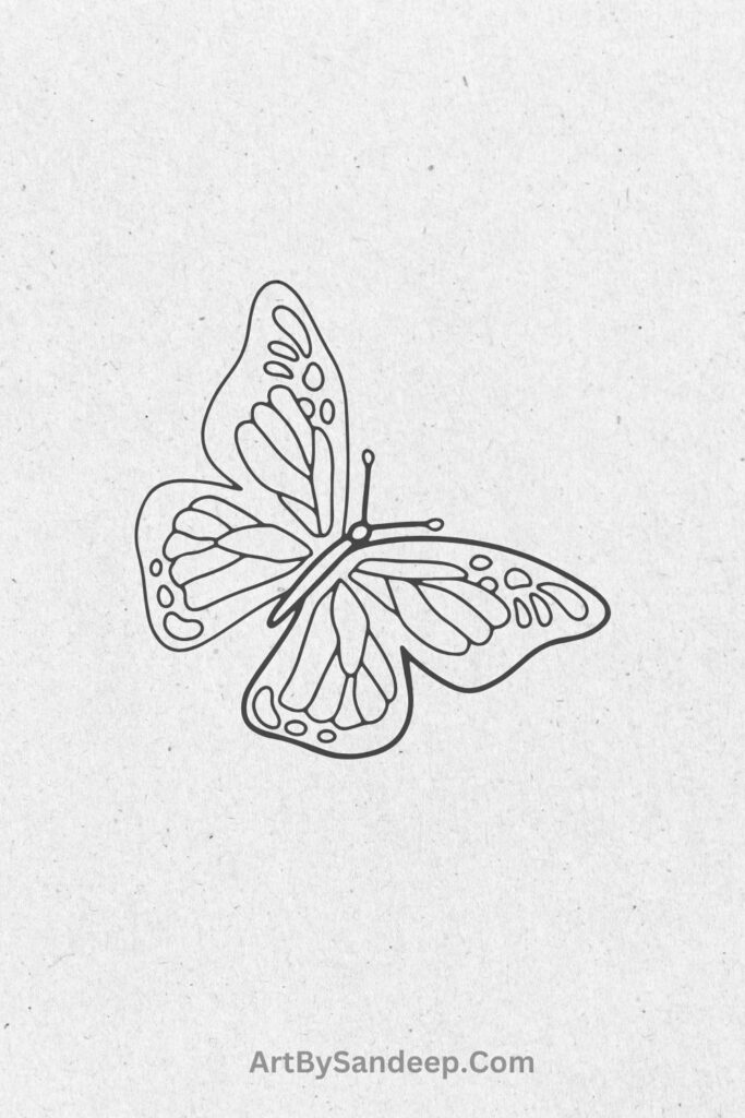 butterfly simple drawing