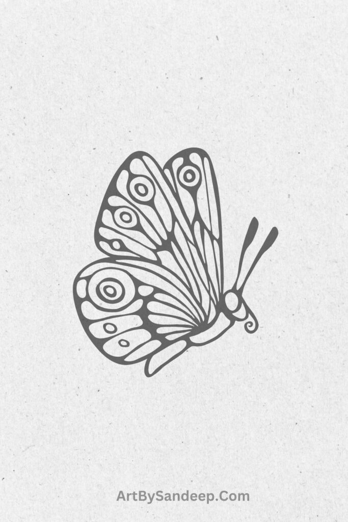 beautiful butterfly drawing