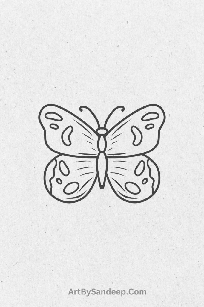 sketch butterfly drawing