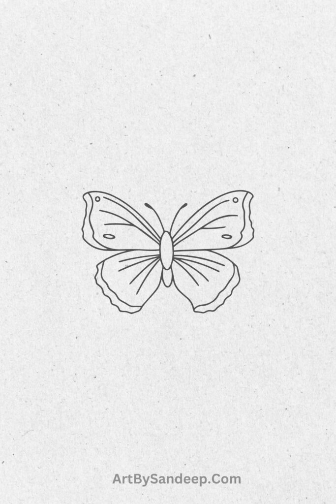 Cute butterfly drawing ideas 2024