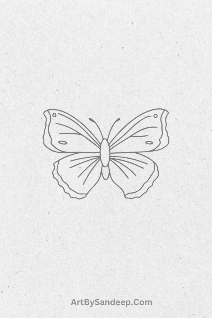 butterfly drawing cool